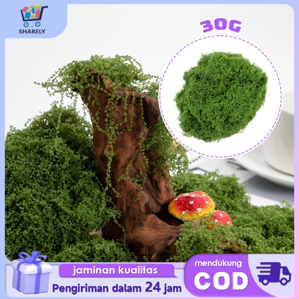 Lumut Imitasi 30g Moss Artificial Moss Dried Untuk Bonsai Diorama Aquascape Lumut Buatan Dekorasi