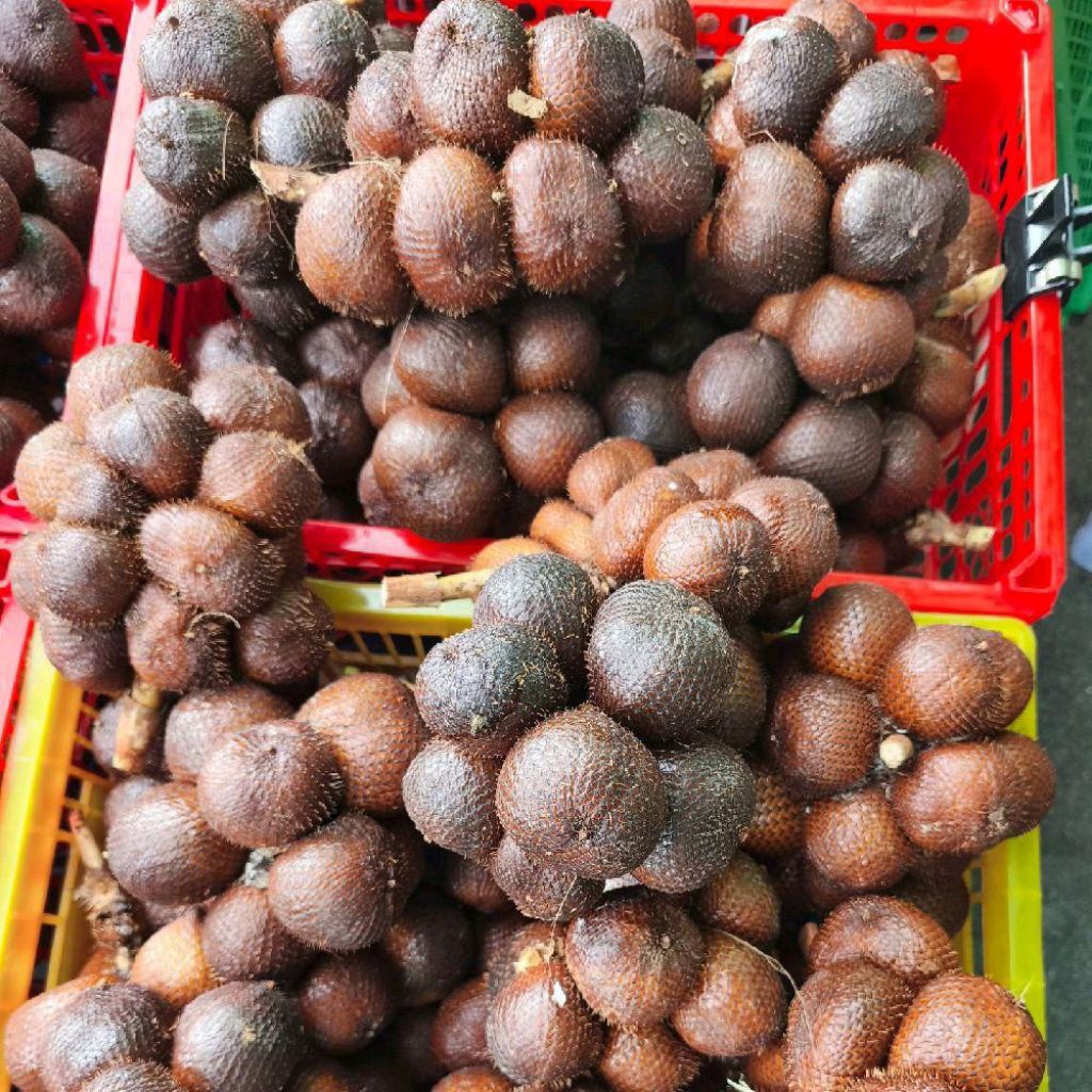 Buah salak Bali salak manis super manis garing 1 kg