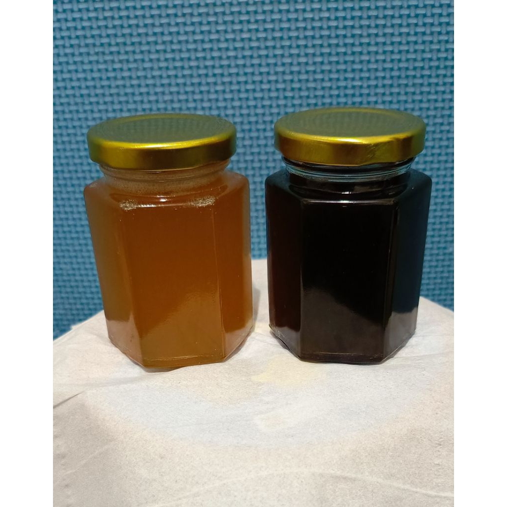 Madu Murni Trigona Itama