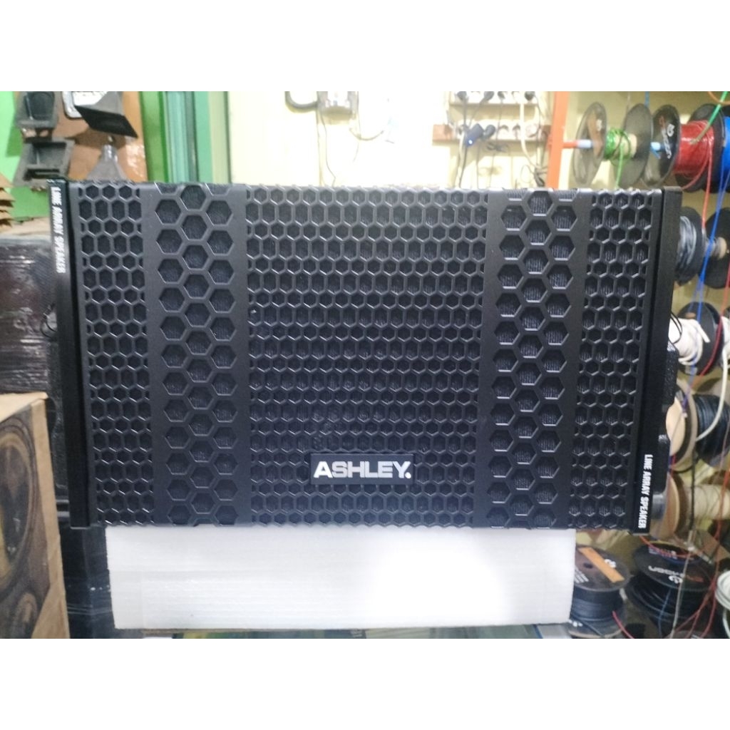SPEAKER 10 INCH ASHLEY LINE ARRAY TW110LA