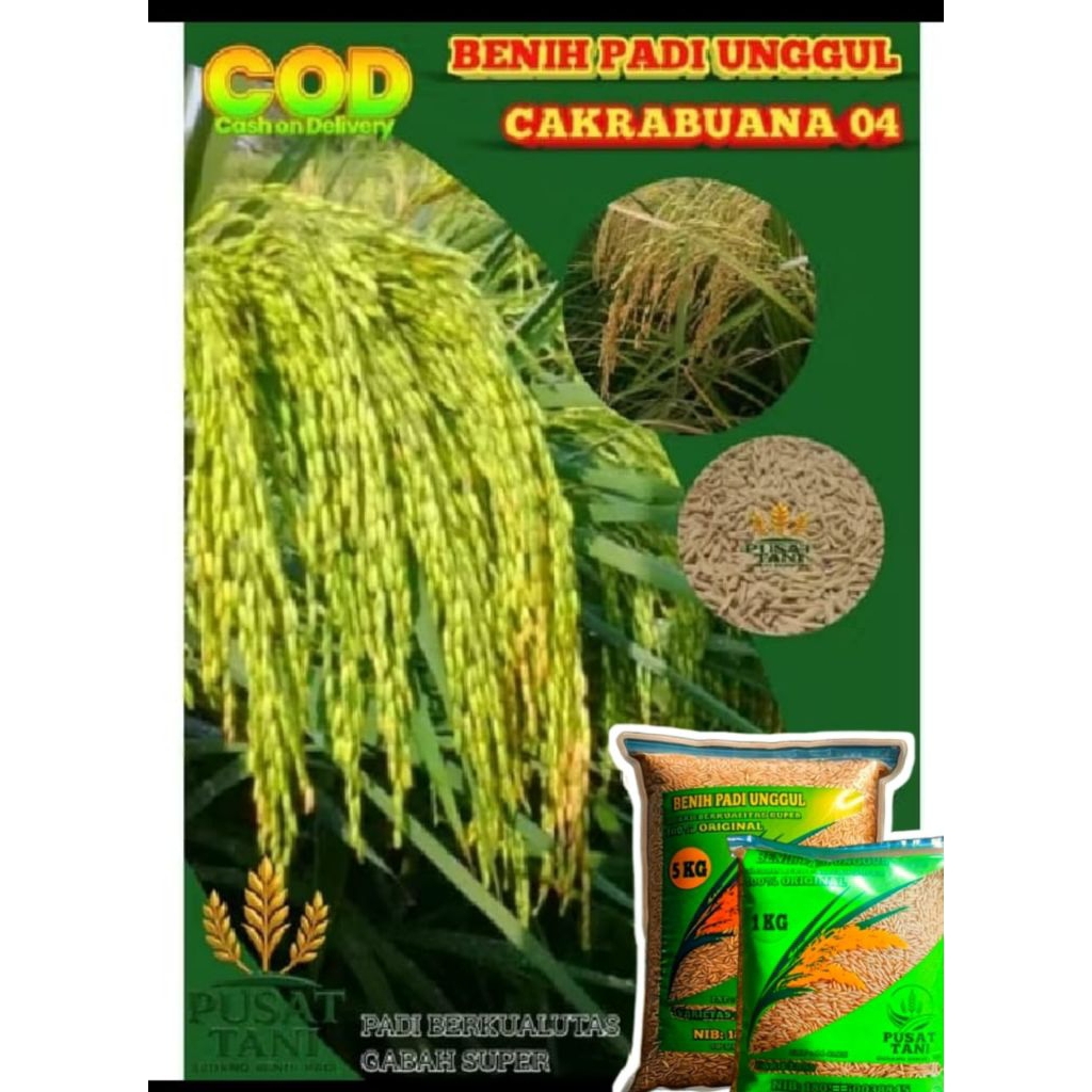 BENIH PADI CAKRABUANA 04 ORIGINAL kemasan 1KG