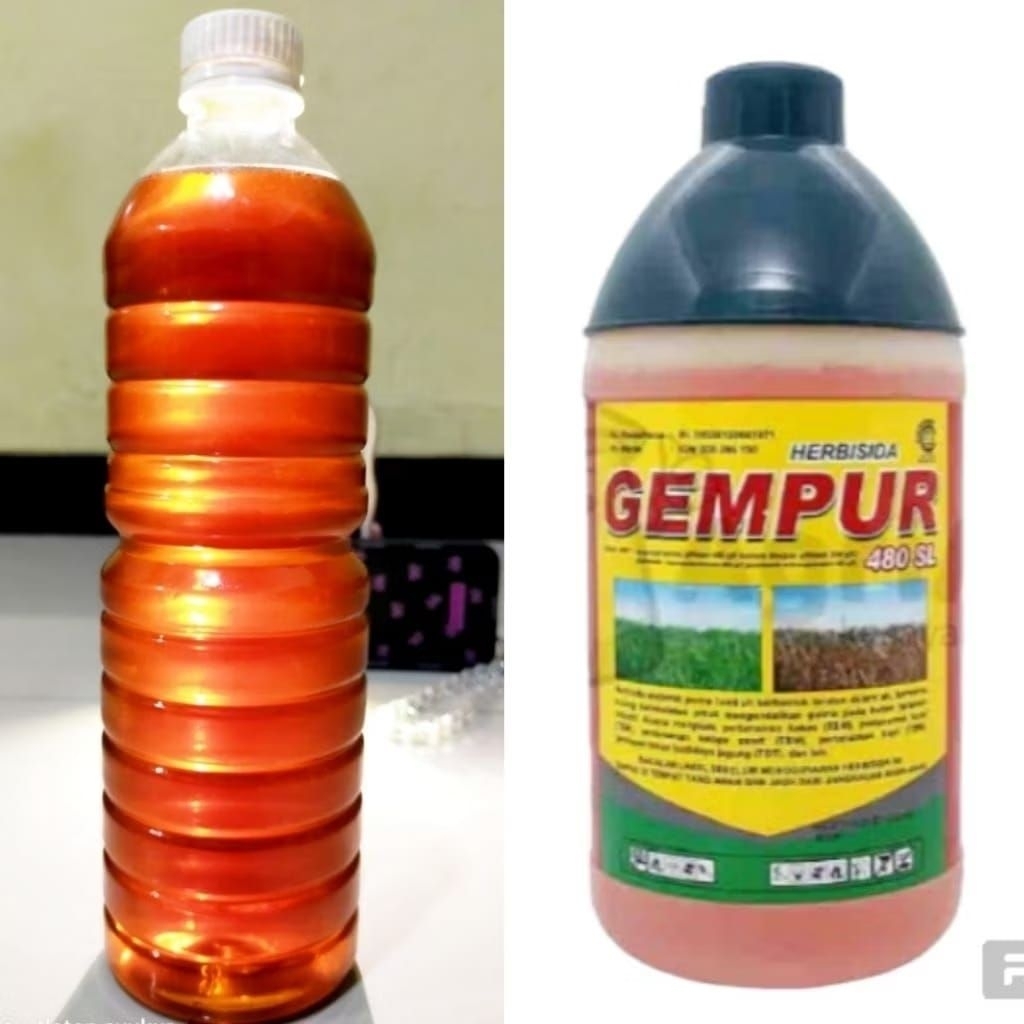 obat rumput gempur 1 liter pembasmi rumput paling ampuh
