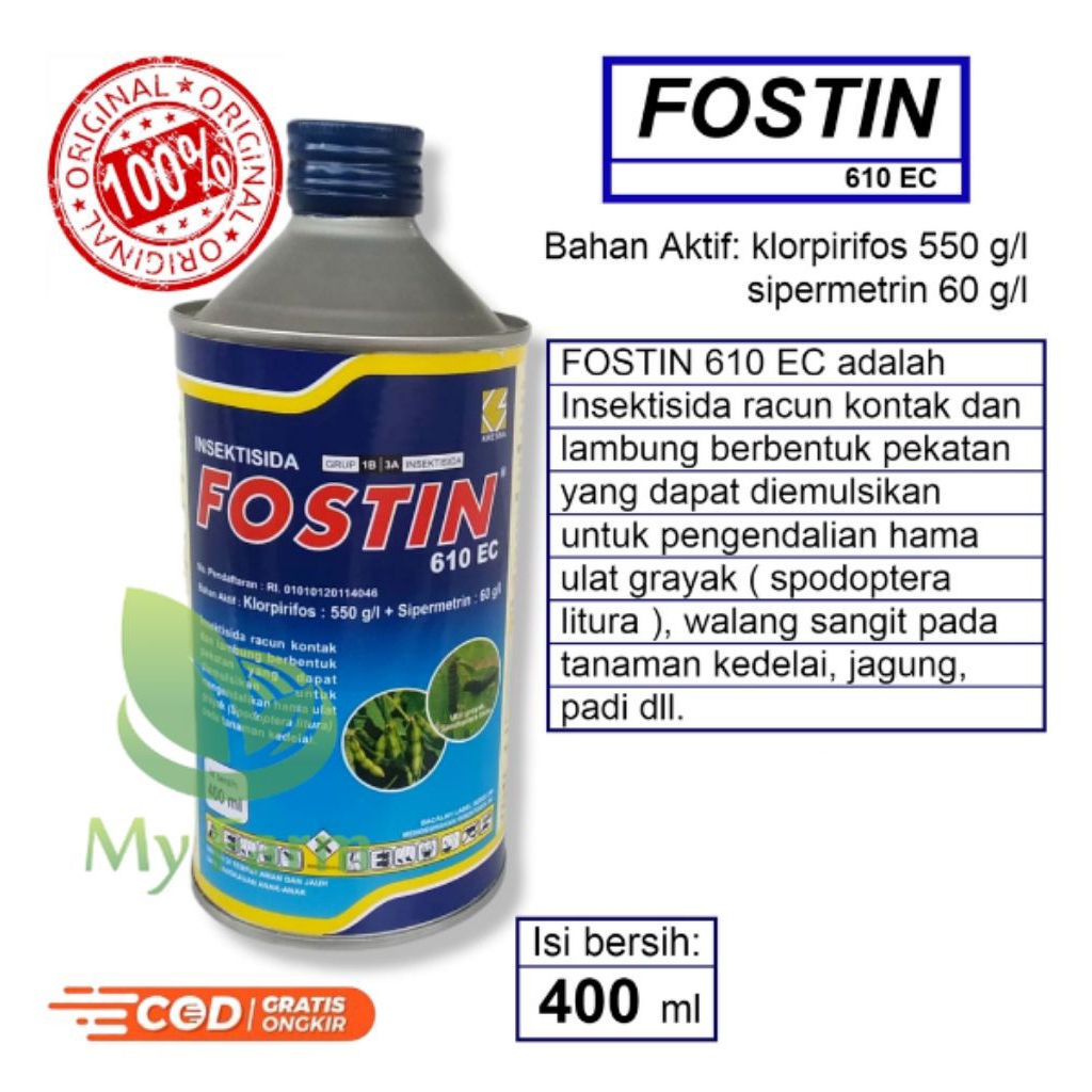 FOSTIN