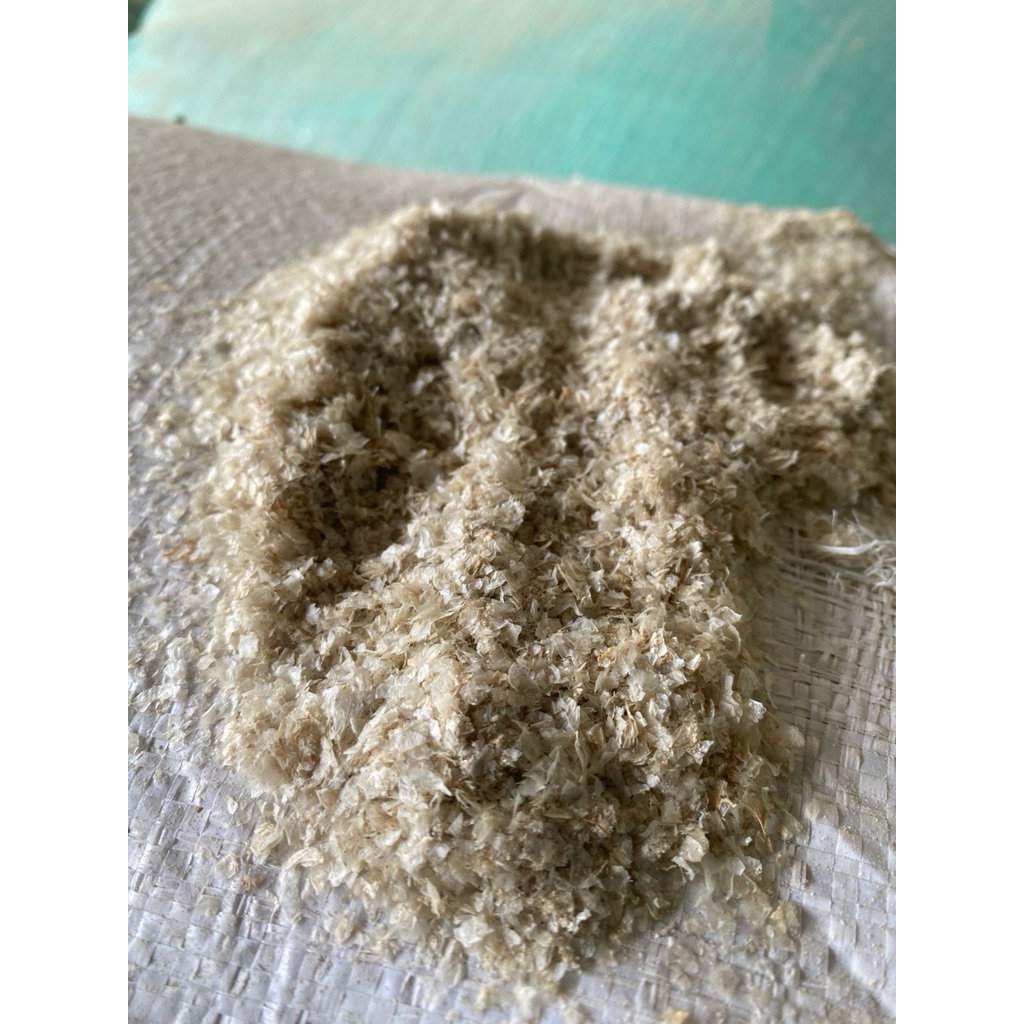 TUMPI JAGUNG/SLAMER/ABUK JAGUNG/JENJET/PAKAN TERNAK