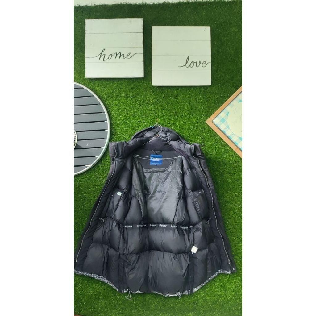 Bulu angsa Discovery