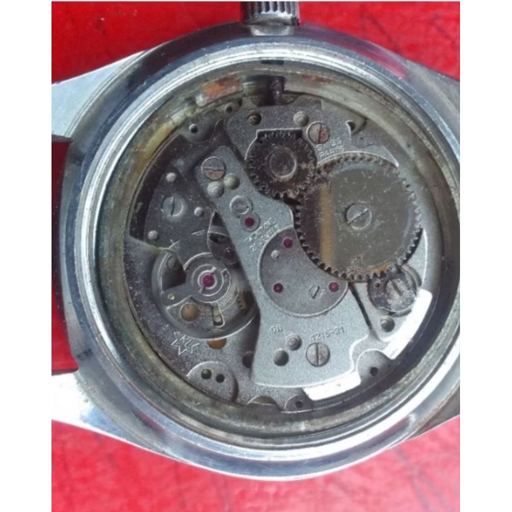 Jam tangan Garuda premier swiss made original strap after market kulit asli manual winding