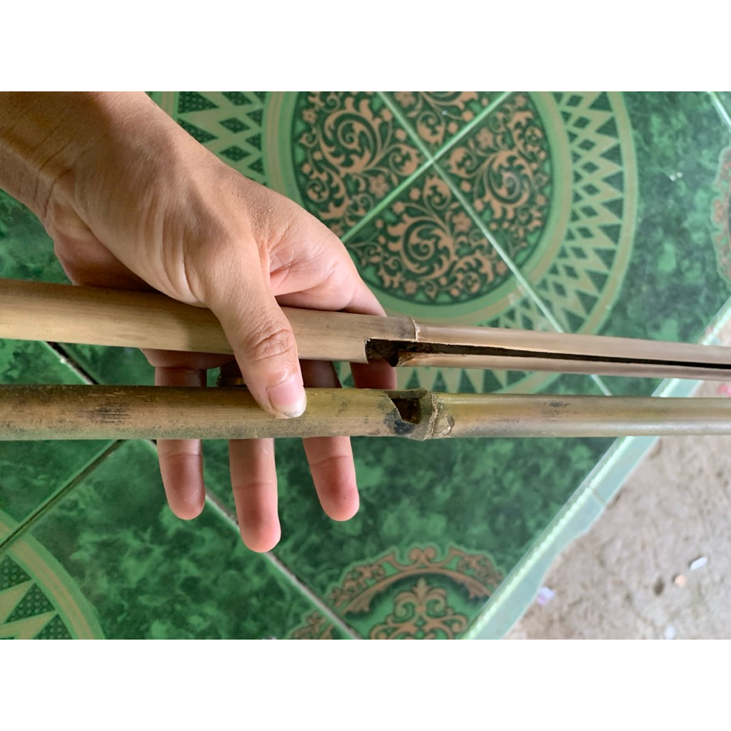 BAMBU ALAT TRADISIONAL PANAH IKAN SELAM BAIT TANAM KARET SEDANG