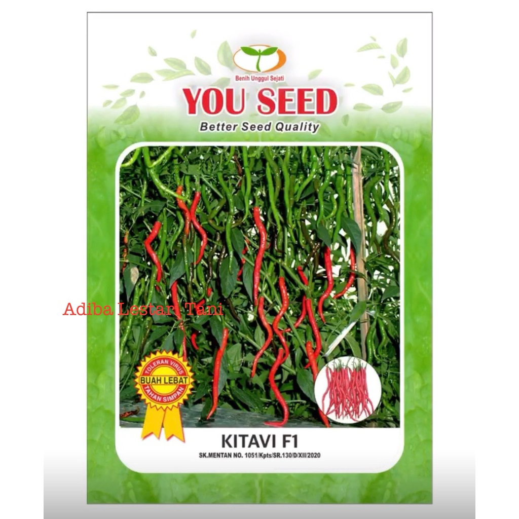 Benih Cabe Keriting Kitavi F1 10Gram - Cabai Merah Keriting CMK Hibrida Cap You Seed