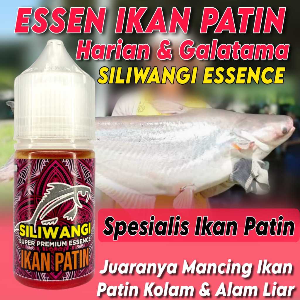 Essen Siliwangi Khusus Ikan Patin Harian Dan Galatama Essen Khusus Ikan Patin Paling Bagus Dan Gacor