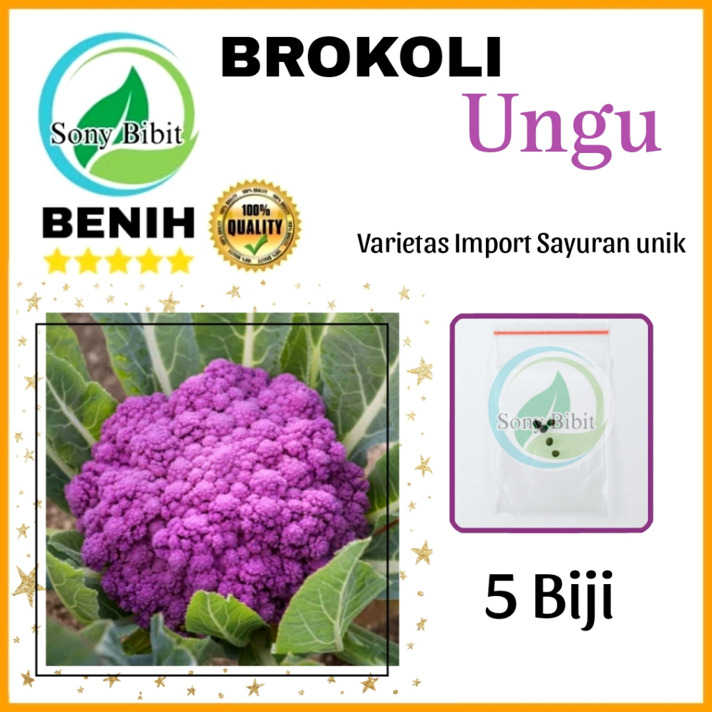 Benih Brokoli Ungu Import
