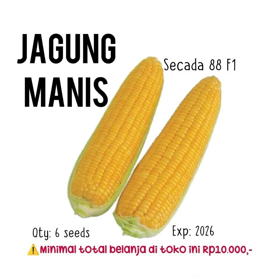 6 biji - benih jagung manis secada 88 f1