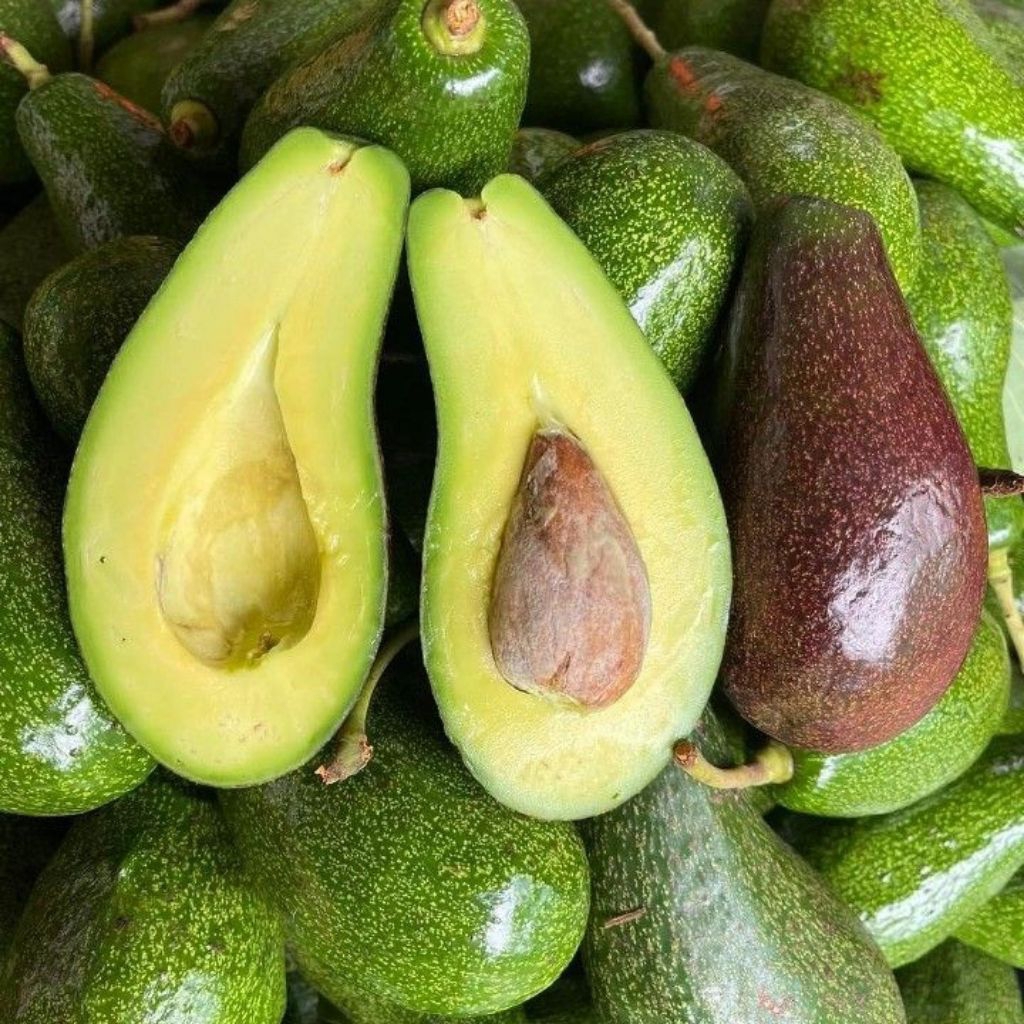 ALPUKAT MENTEGA LERENG 1kg
