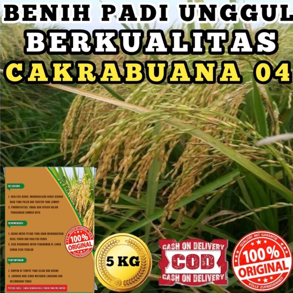 BIBIT BENIH PADI  CAKRABUANA 04 ORIGINAL KEMASAN 5KG