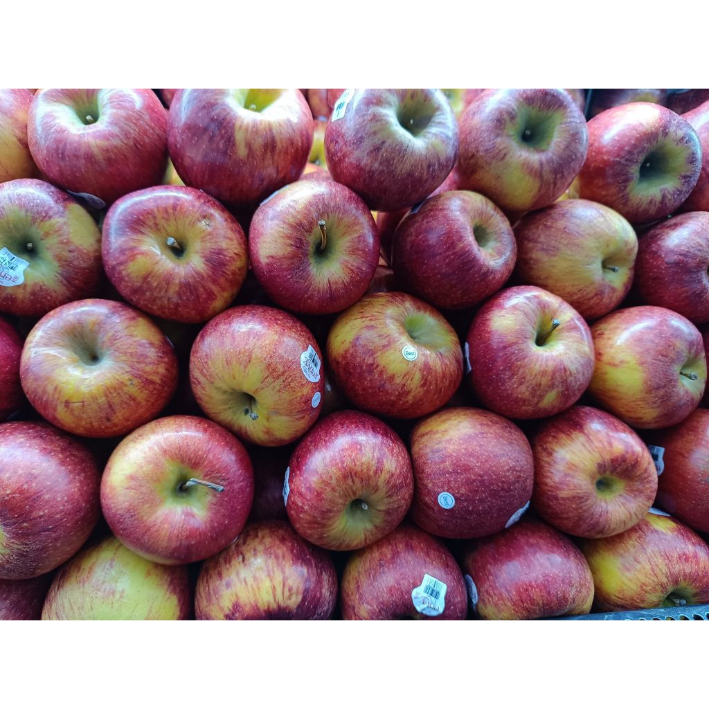 Apel Envy New Zealand Premium JUMBO / Kg