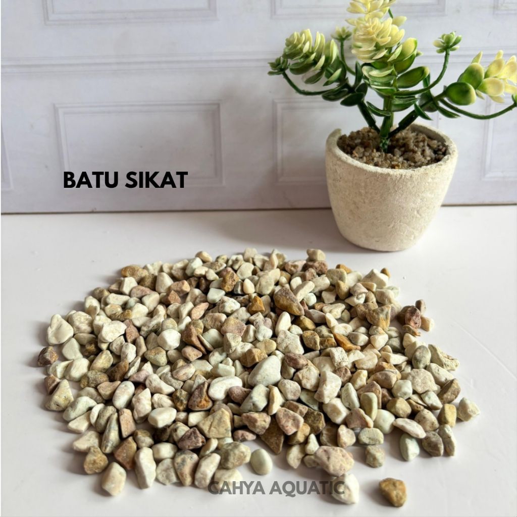 Batu Sikat (Batu Hias Aquarium)