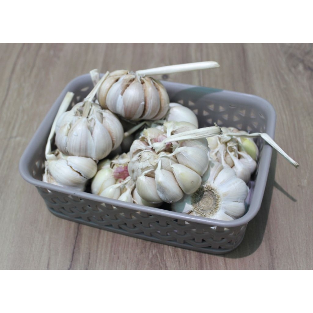 Bawang Putih 1kg