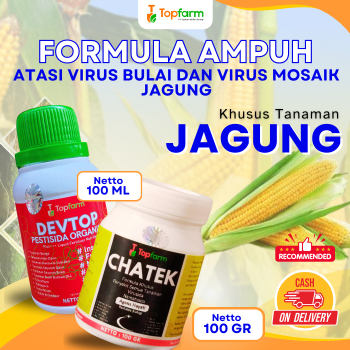 Pestisida Jagung / Pestisida Hama Ulat Jagung / Obat Hama Ulat jagung Paling Ampuh / Obat Hama Daun 