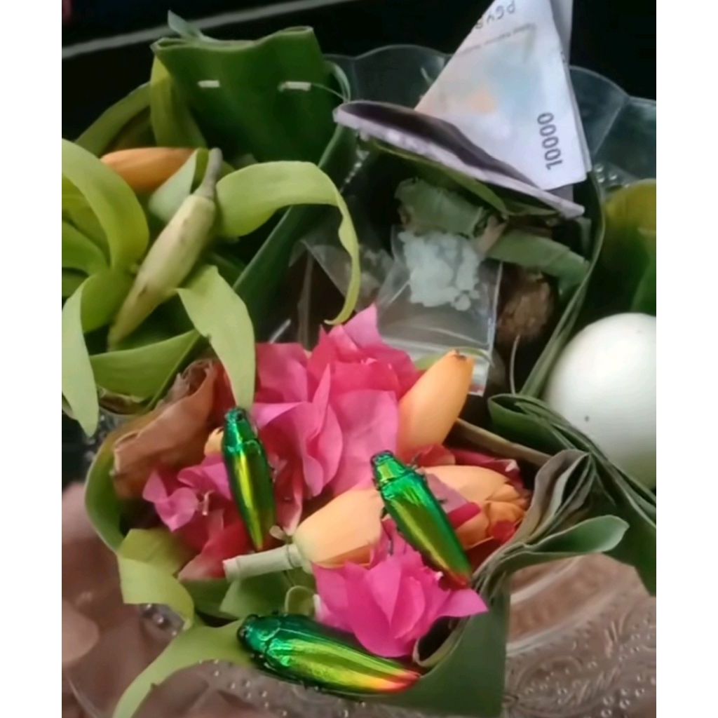 Booster 2000W 144Mhz (Blm Termasuk PSU) 2M Band Vhf Linear Amplifier