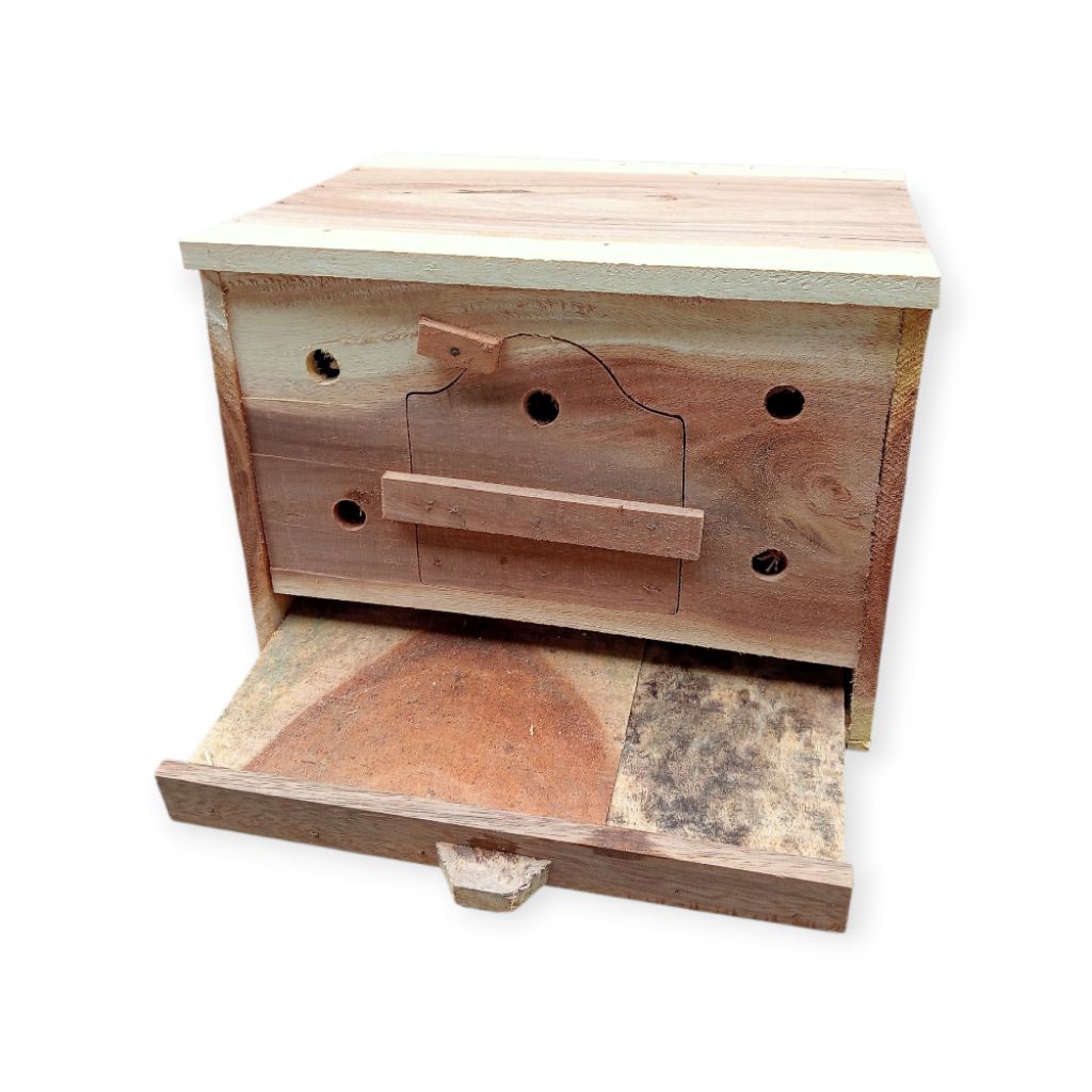 Gupon Merpati // Gupon Sorokan