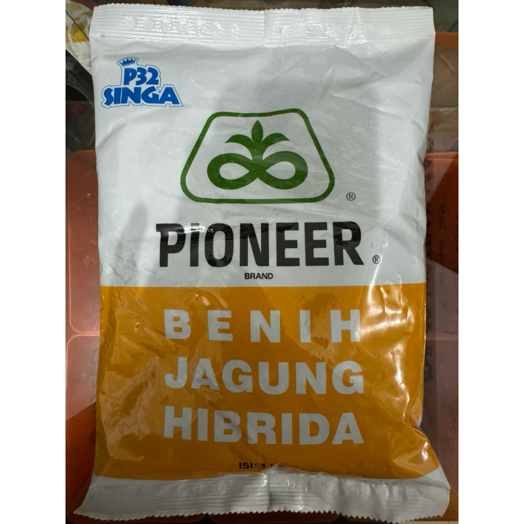 Pioneer P32 singa benih jagung hibrida