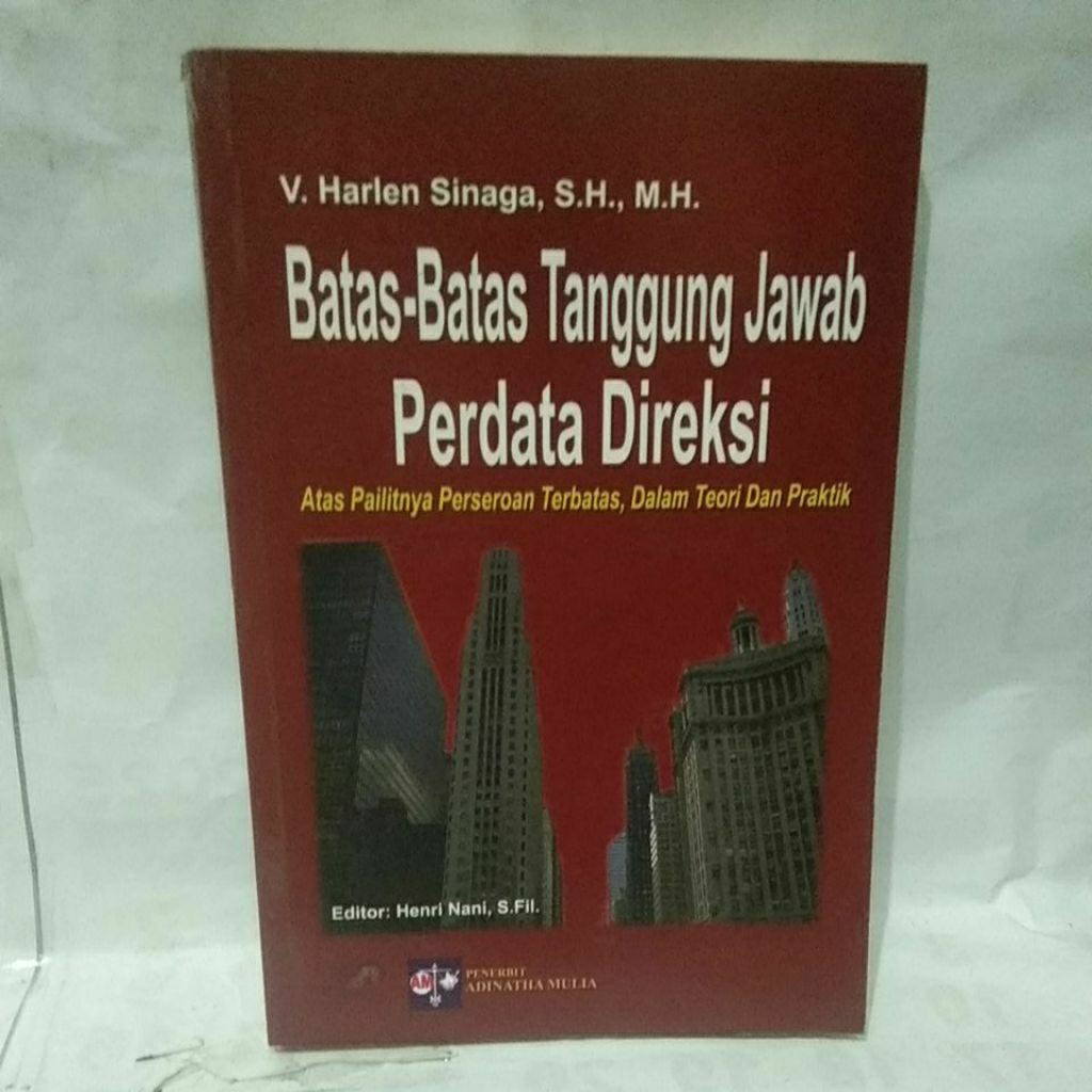 Batas batas tanggung jawab perdata direksi