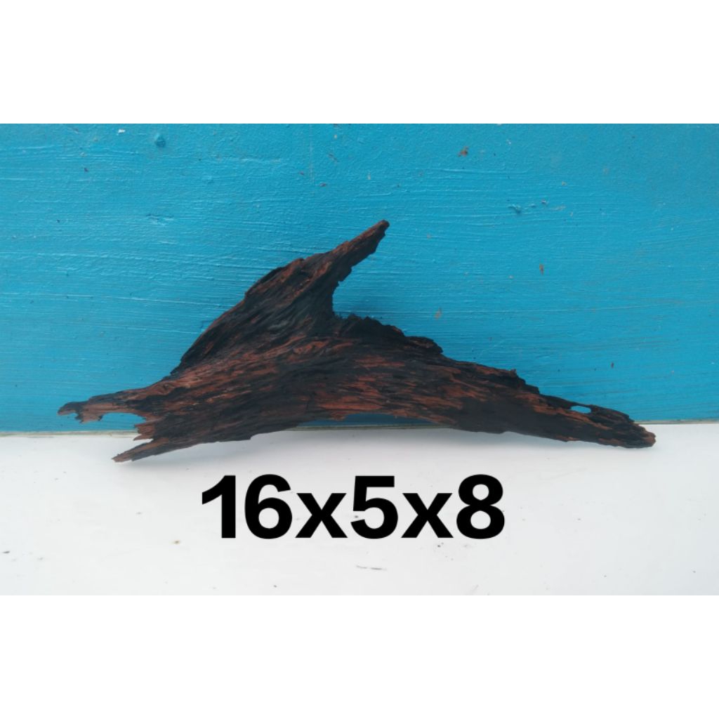 kayu rentek AQUASCAPE size S