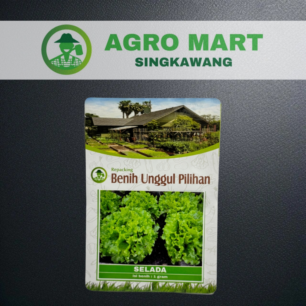 benih selada keriting hijau