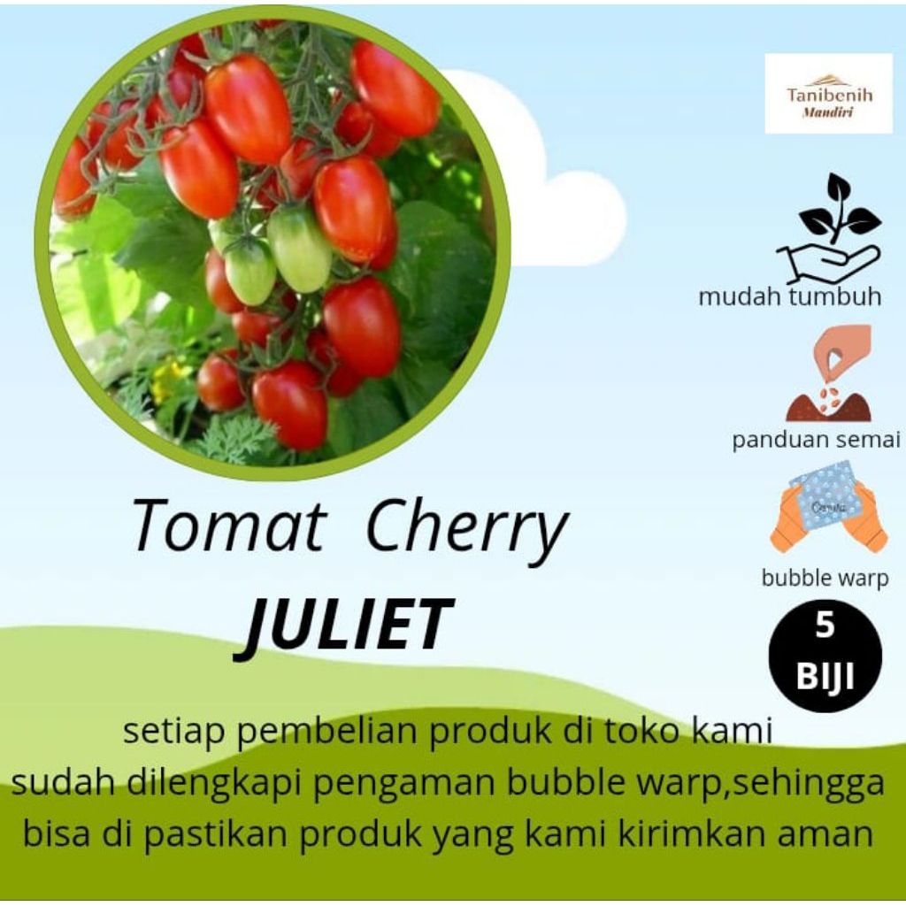 5 Biji Benih Tomat Cherry JULIET F1