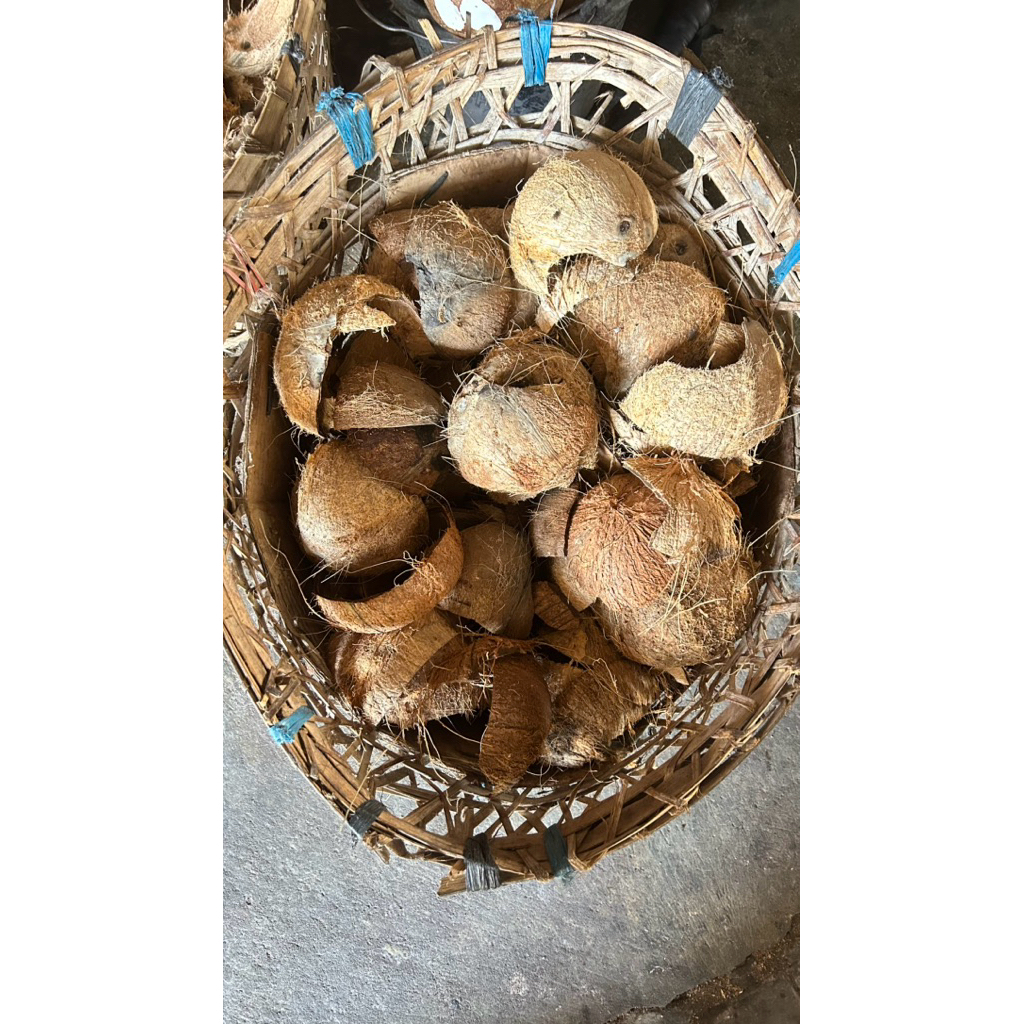 Batok kelapa kering untuk briket tempurung kelapa briket