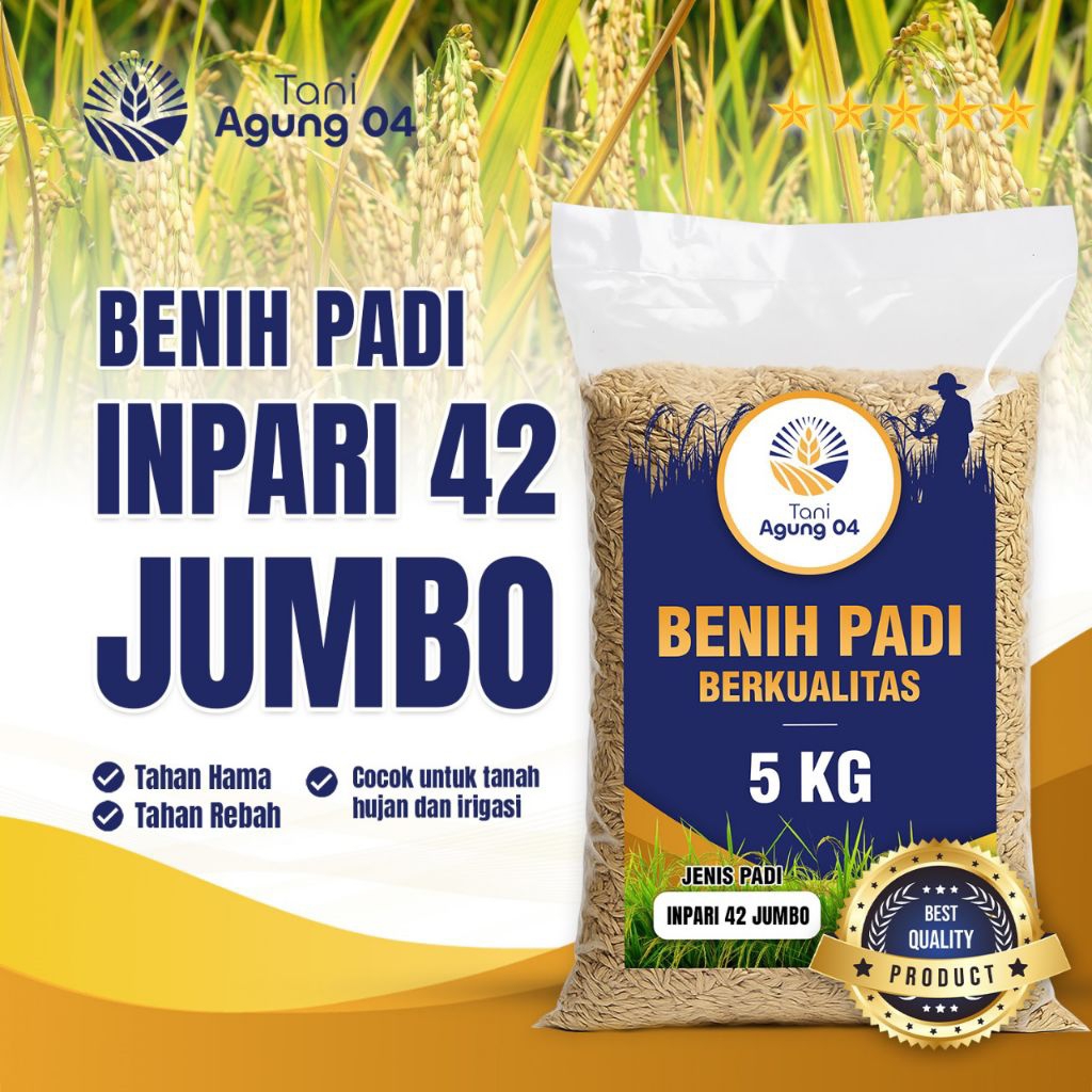 Benih padi Bibit Unggul Inpari 42 Jumbo Kualitas Super Premium