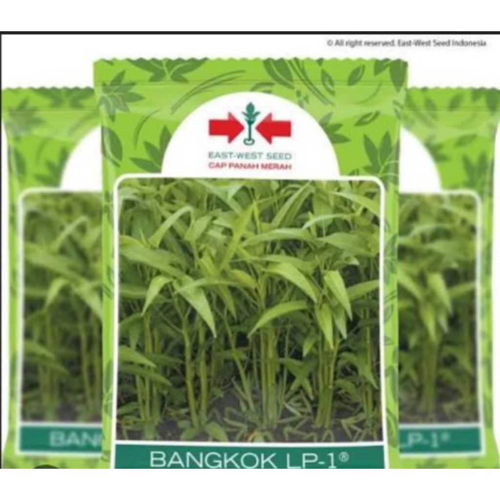 Bibit kangkung darat