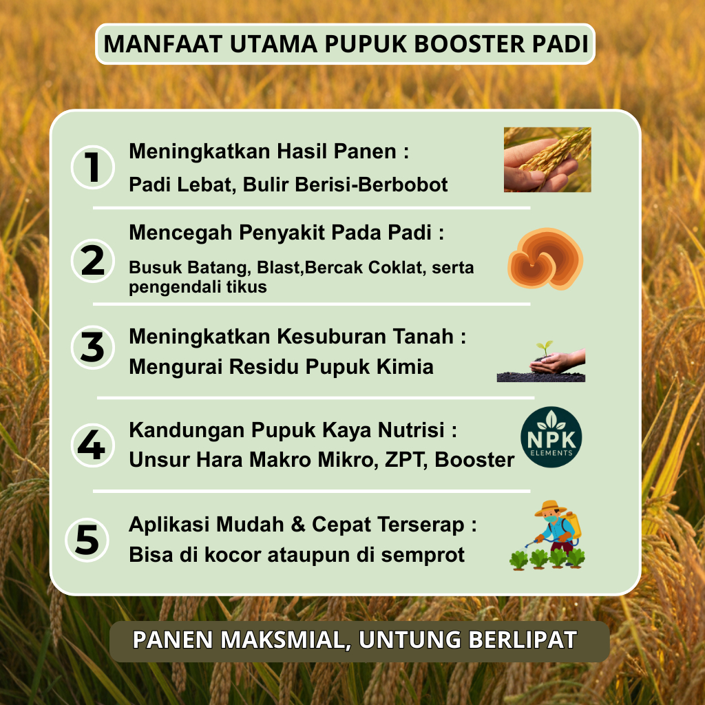 Alltechshop_ Pupuk Padi Cair Pelebat Bulir & Memperbanyak Anakan - Pengendali Hama Tikus Pupuk Cair