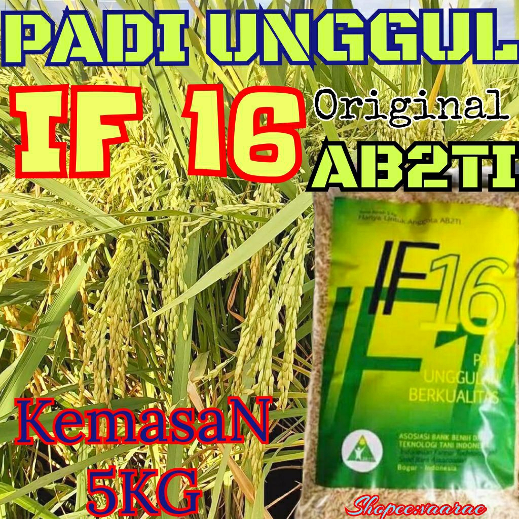 BENIH PADI IF16 ORIGINAL AB2TI KEMASAN 5KG NEW