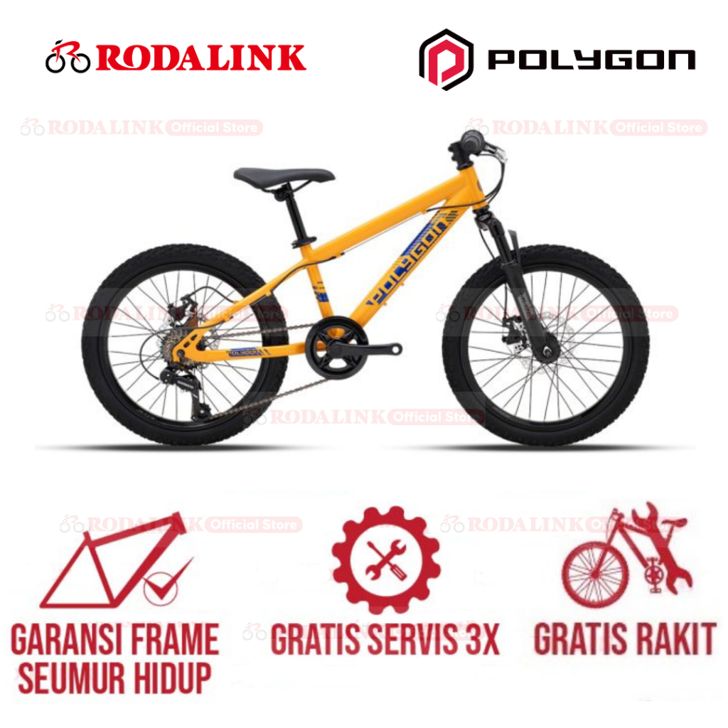 Polygon Sepeda Anak Maze M20 - Sepeda Gunung MTB Anak 20"