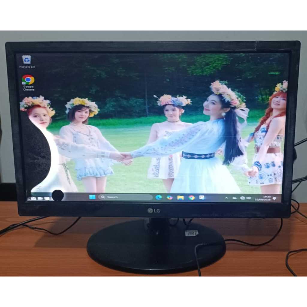 MONITOR LG 19M38A-B