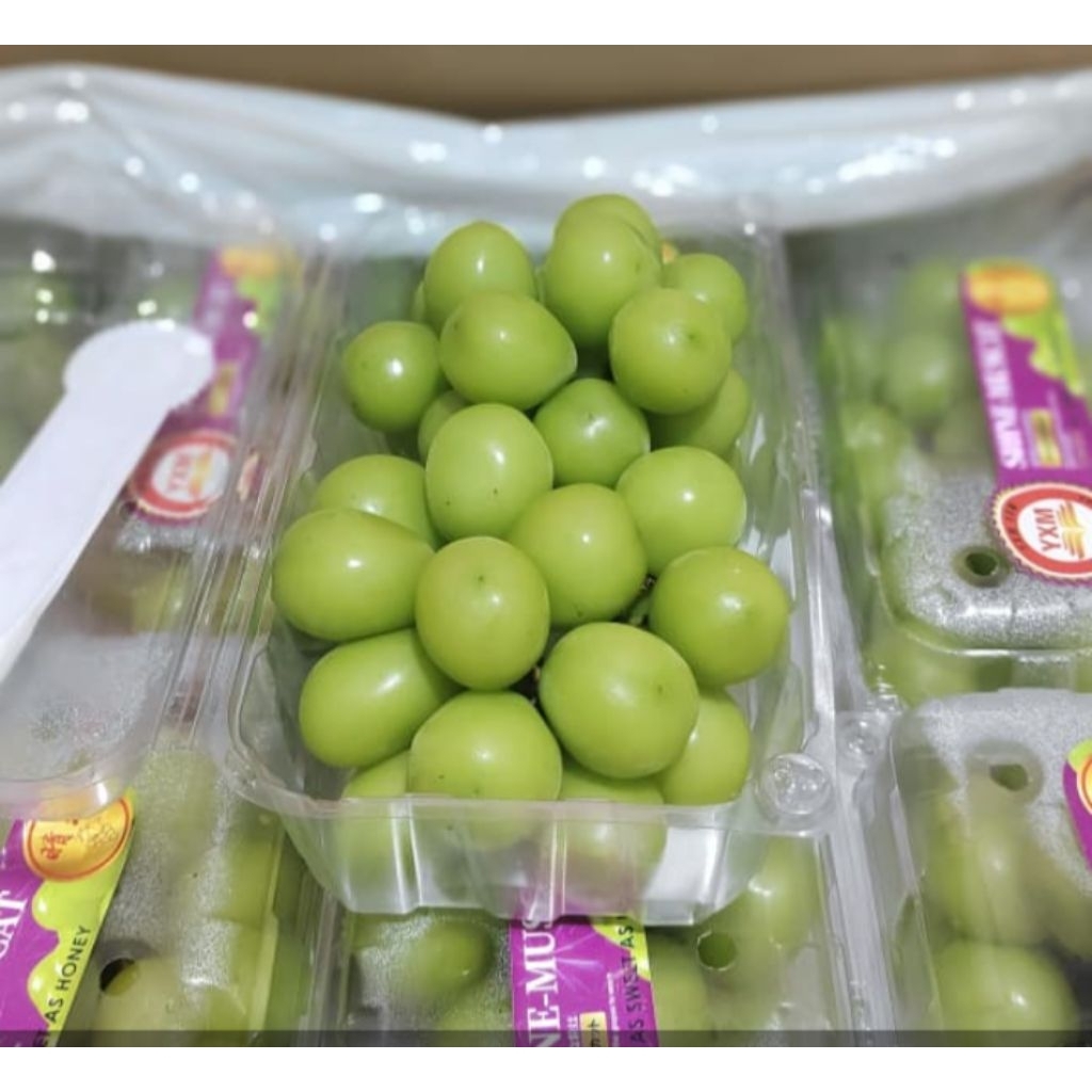 Anggur hijau Muscat 500 gram