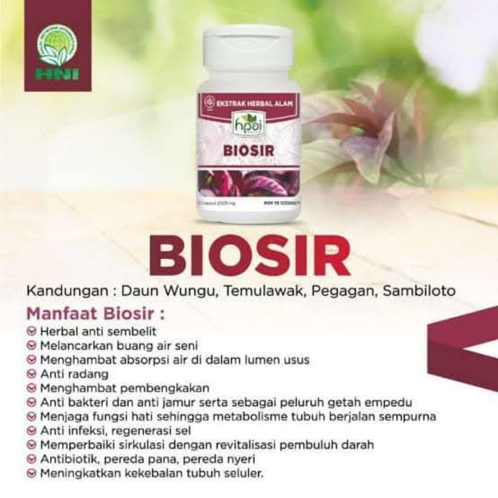 BIOSIR HPAI HNI mengobati masalah wasir