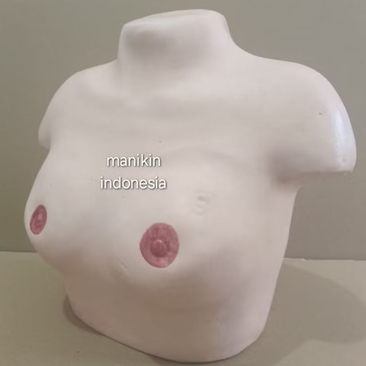 PHANTOM PAYUDARA MENYUSUI/MANIKIN PERAWATAN PAYUDARA IBU MENYUSUI