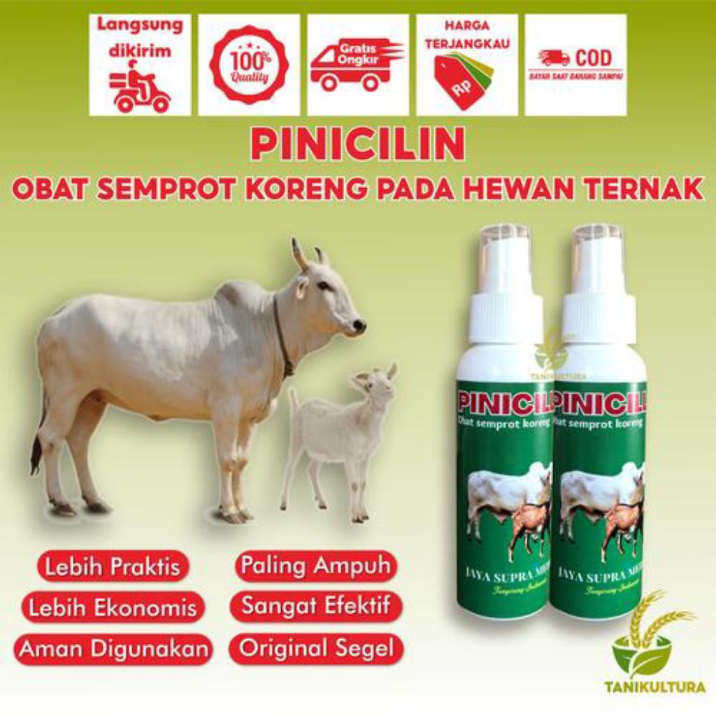 5 Botol Pinicilin Obat Antibiotik Luka Hewan