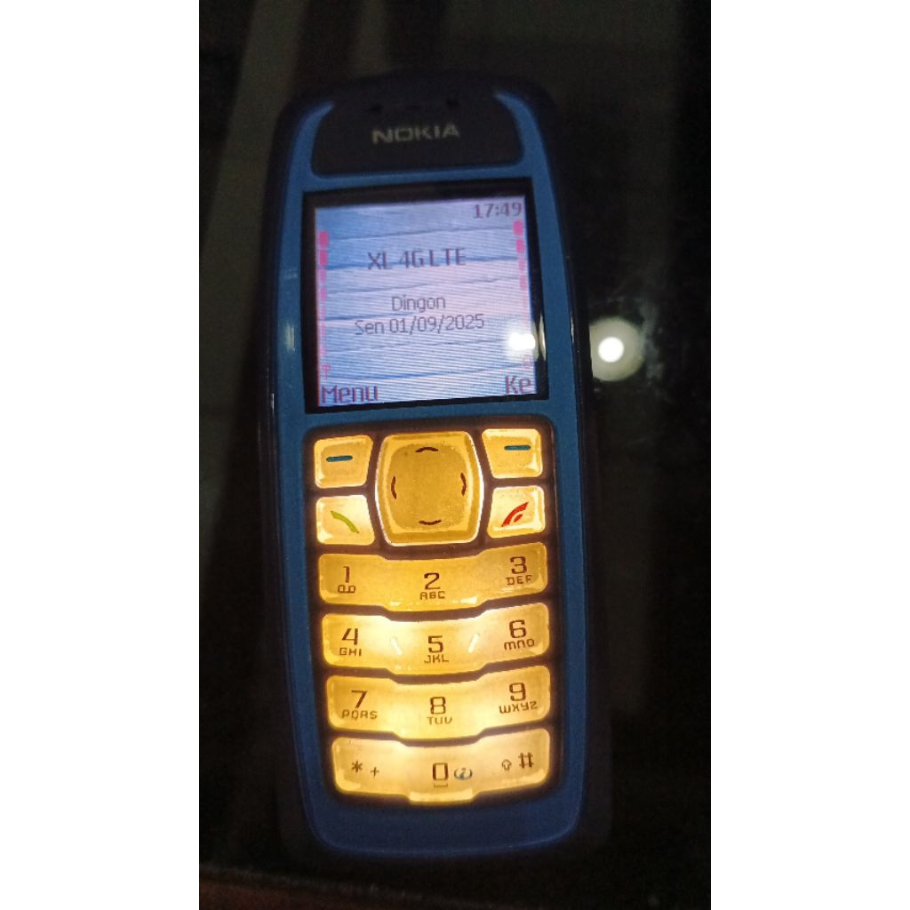 Nokia 3100