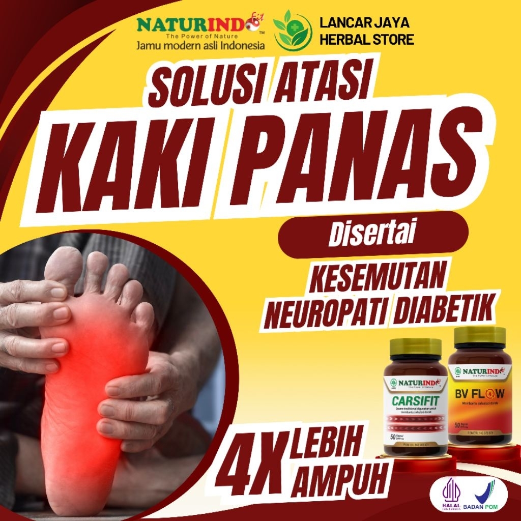 Obat Kaki Panas Kebas Kesemutan Neuropati Diabetik Herbal Naturindo