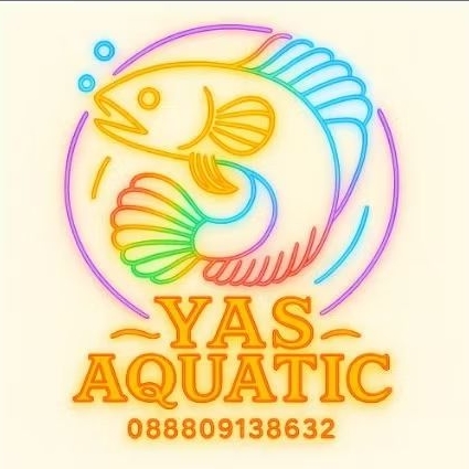 asiatica platinum free packing styrofoam