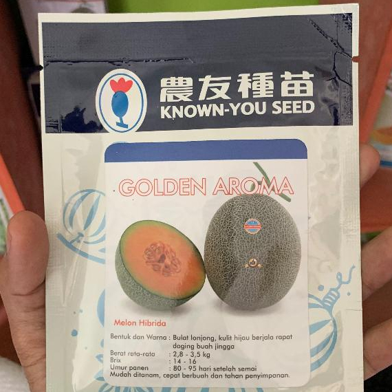 Golden Aroma Benih buah melon 50 seed