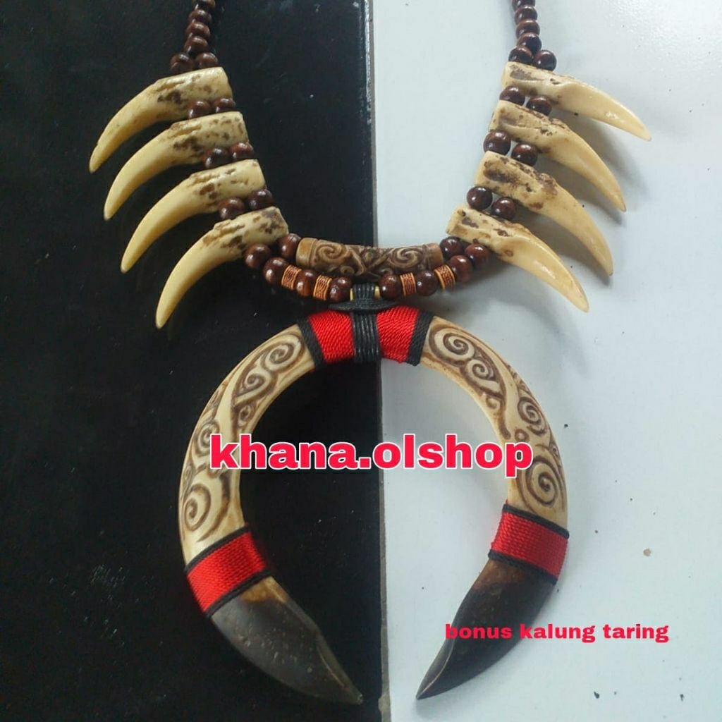 Kalung Taring Babi Etnik Dayak Kalimantan Kombinasi Taring Macan