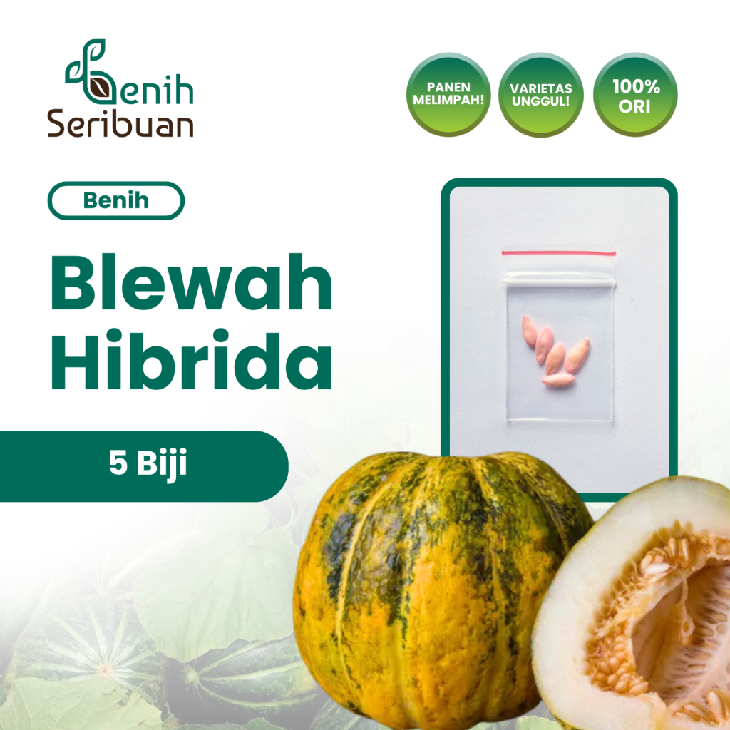Benih Seribuan - 5 Benih Buah Blewah Blaster F1 Hibrida