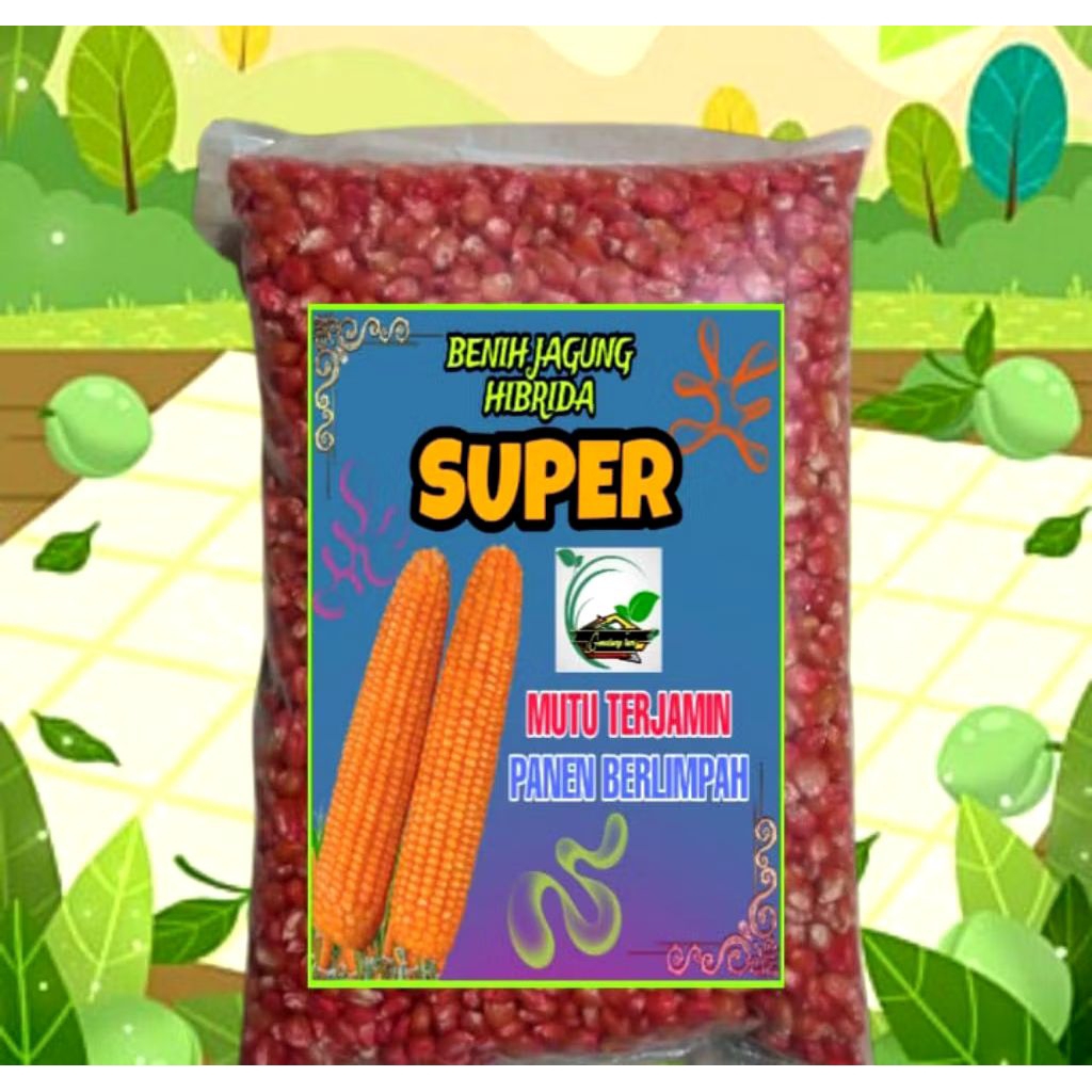BENIH JAGUNG HIBRIDA SUPER 1KG