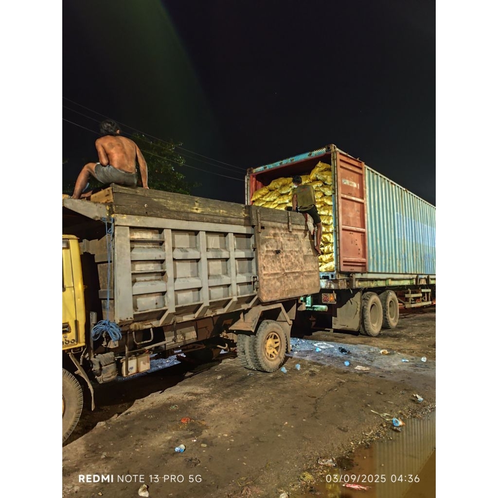 Halaban Wood Charcoal