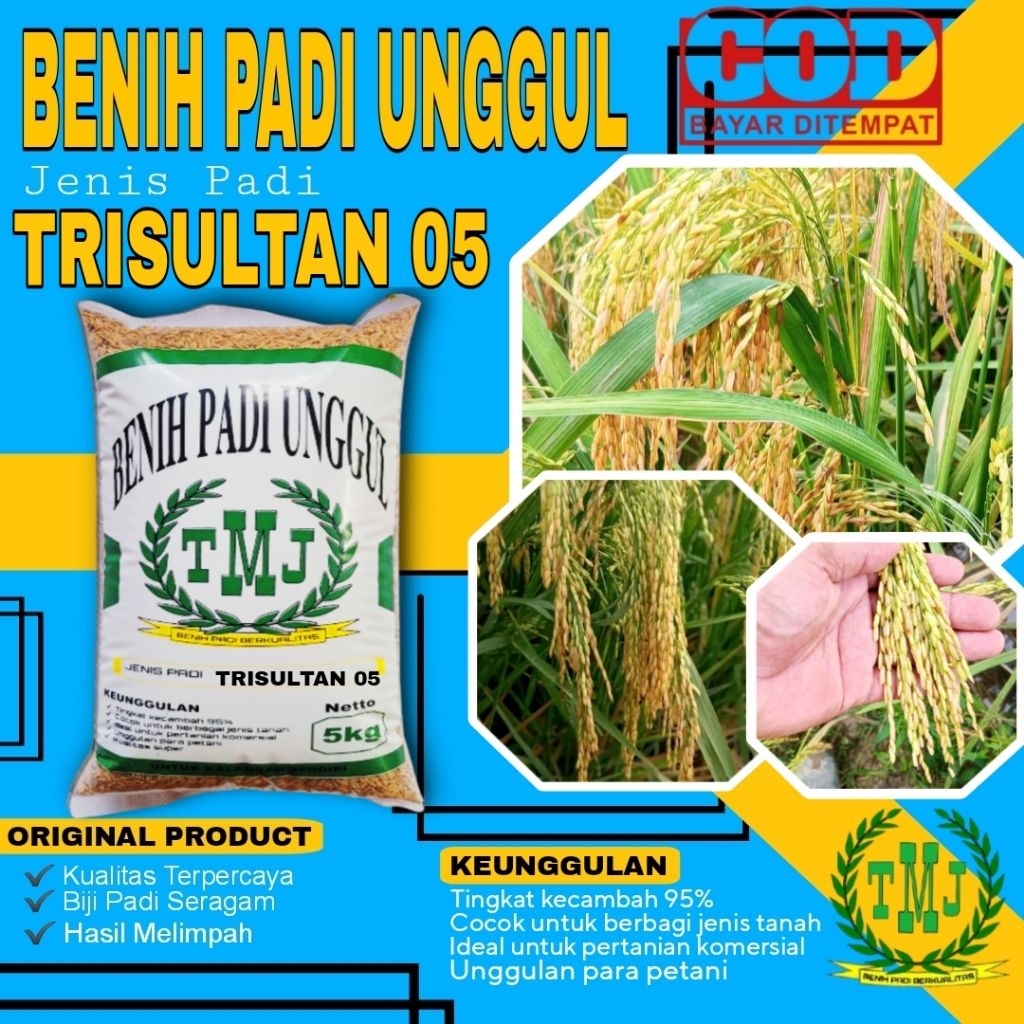 BENIH BIBIT PADI TRI SULTAN 05 UNGGUL KEMASAN 5KG ORIGINAL POTENSI HASIL PANEN MELIMPAH