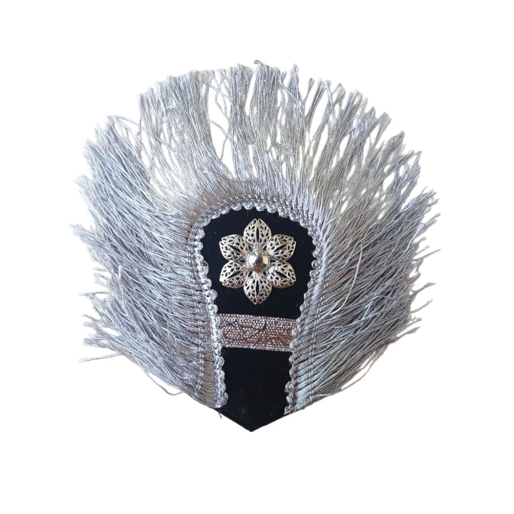 RD #EVOLET custom warna RUMBAI SILVER