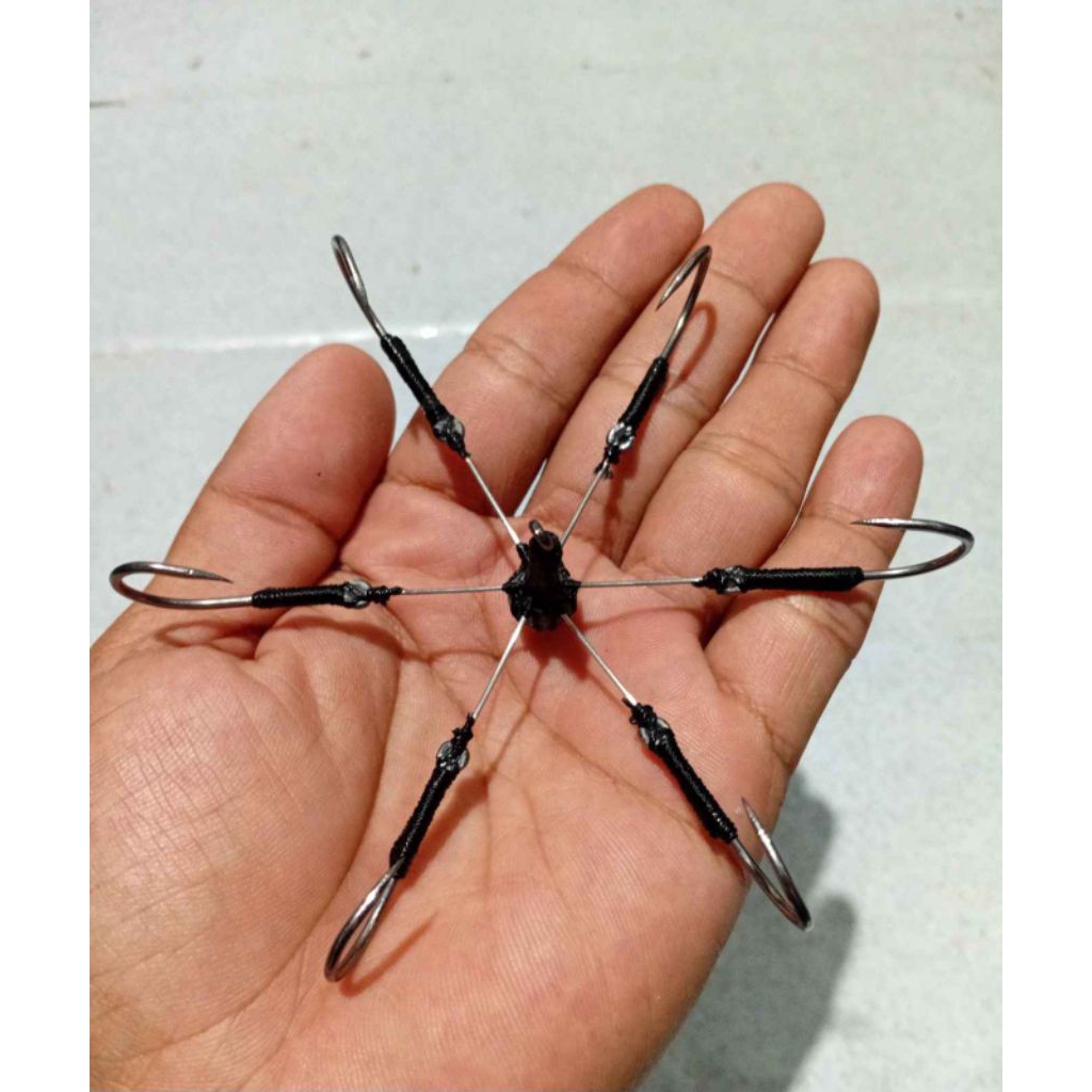 pancing garong matahari 6 kail